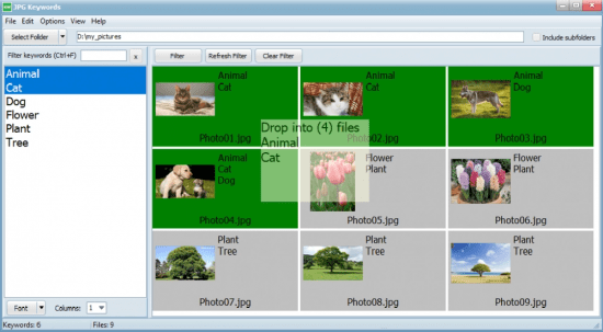 EedSoft Jpg Keywords 1.9