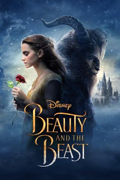 Beauty And The Beast 2014 FRENCH 1080p BluRay x265-VXT