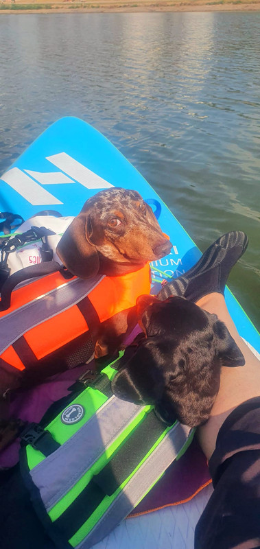 [Image: IMG-20220806-WA0004.jpg]