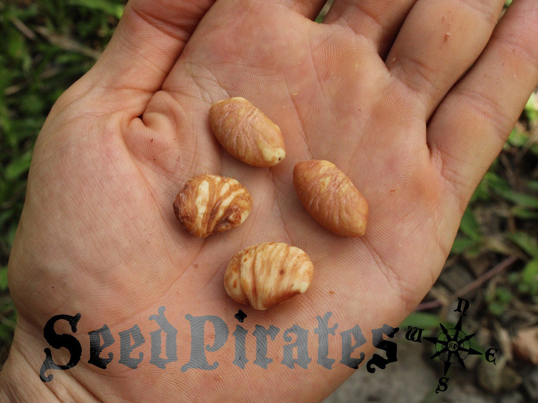 C34BD1A8-1829-4B7F-B18B-8A1DB8CFD2A1