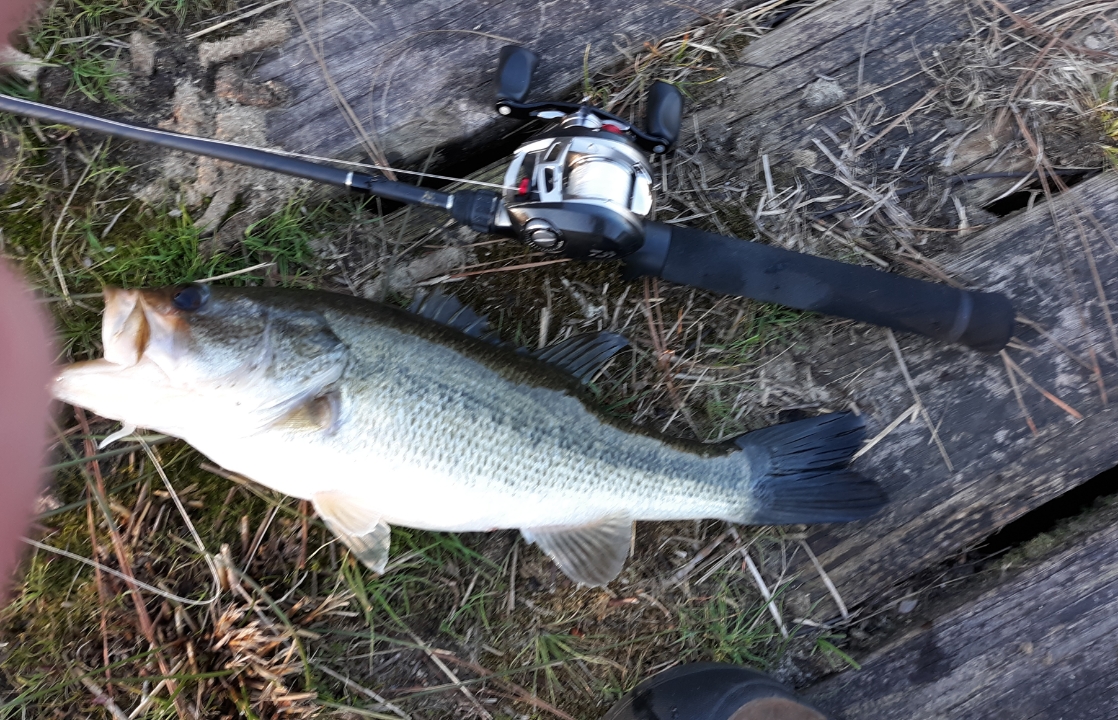 good length for ultralight panfish rod? 5' or 6'? for lake - Other Fish  Species - Bass Fishing Forums