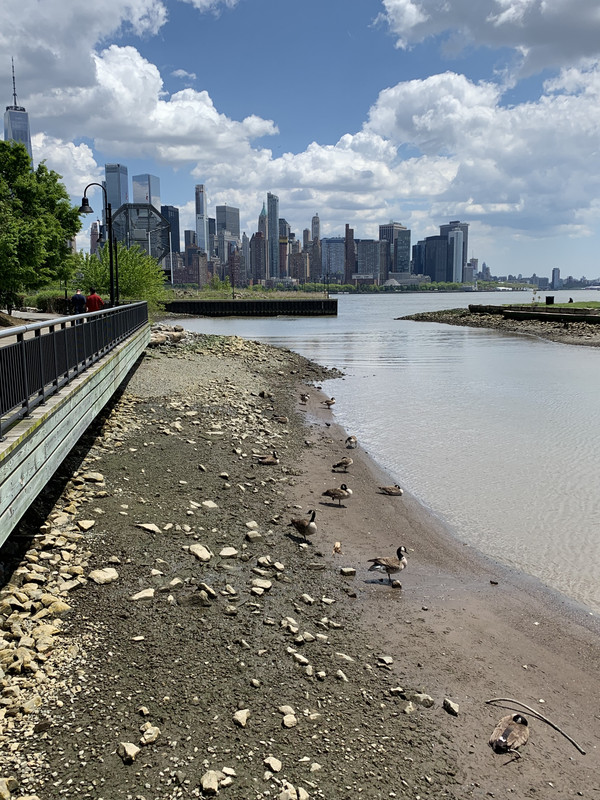 8262E307-3BB2-494B-947E-543F21B7717B