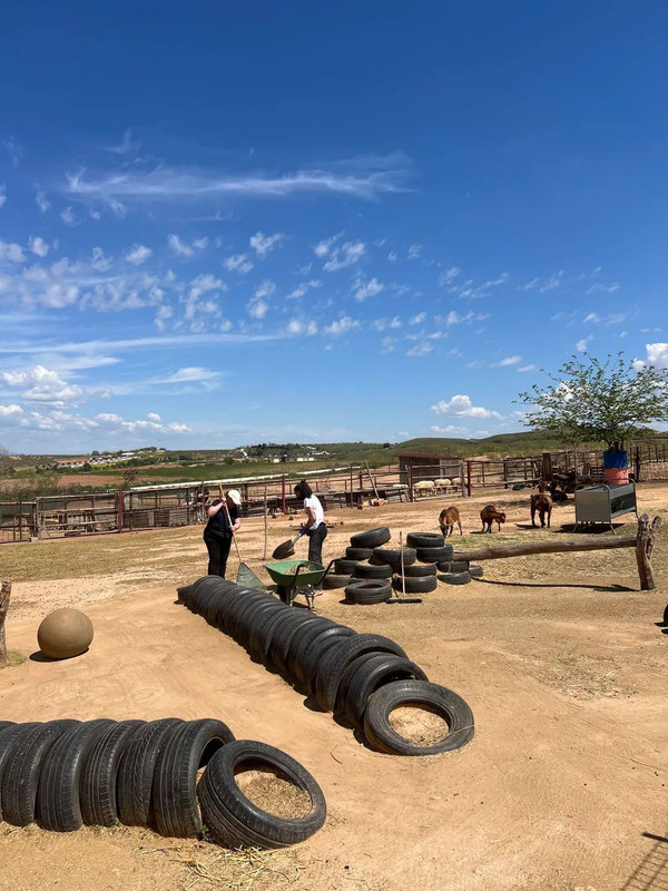 Foto cedida por Hoope