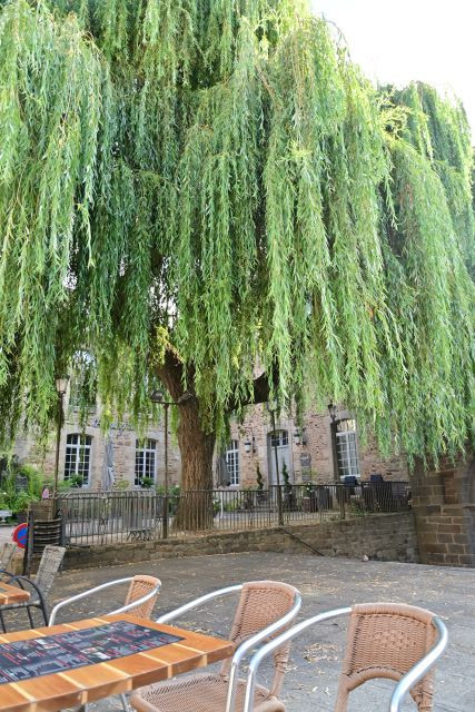 Día 4: Las ovejas de Saint-Michel y la joya de Dinan - 10 días de verano en la Bretaña francesa (6)