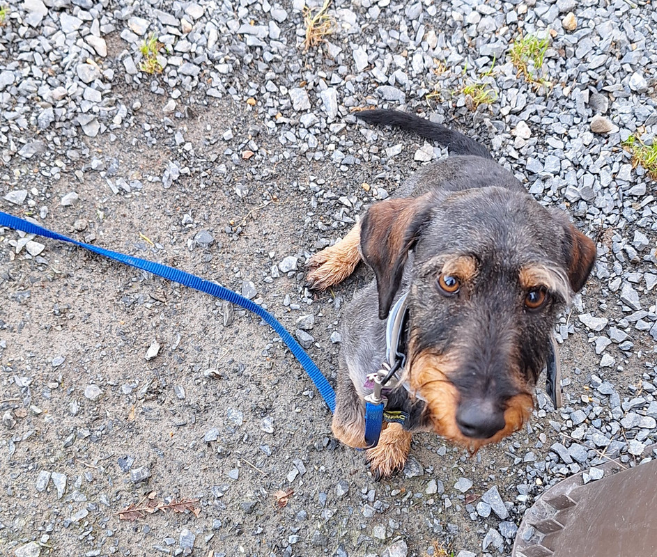 [Image: 20240127-104709.jpg]