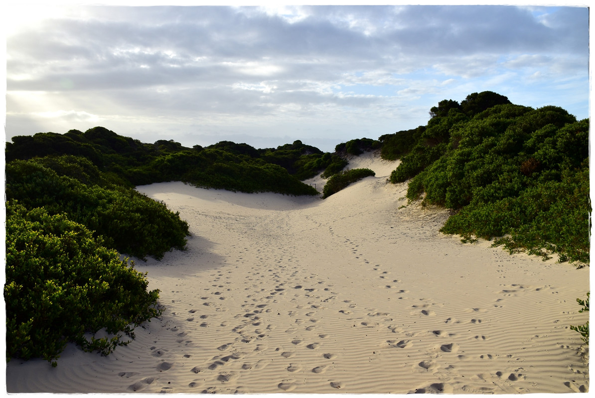 Narawntapu National Park - Australia (II): Recorriendo Tasmania (3)