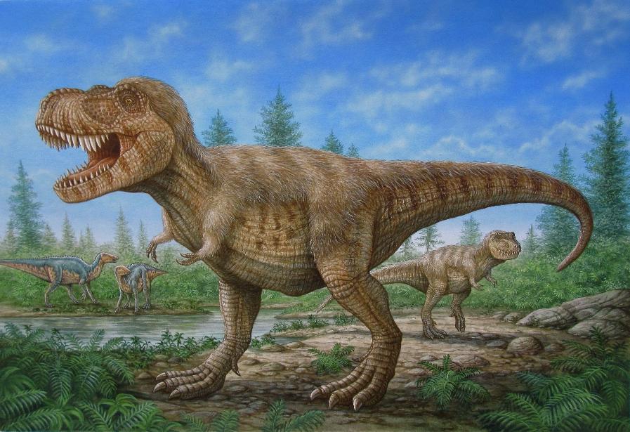 phpD7qvyv_enciklopediya_html_90f43ed673638e19