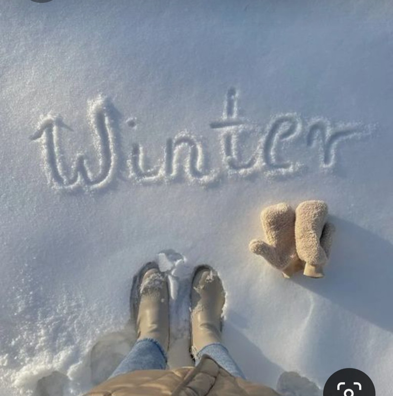 Screenshot_20231102_133517_Pinterest