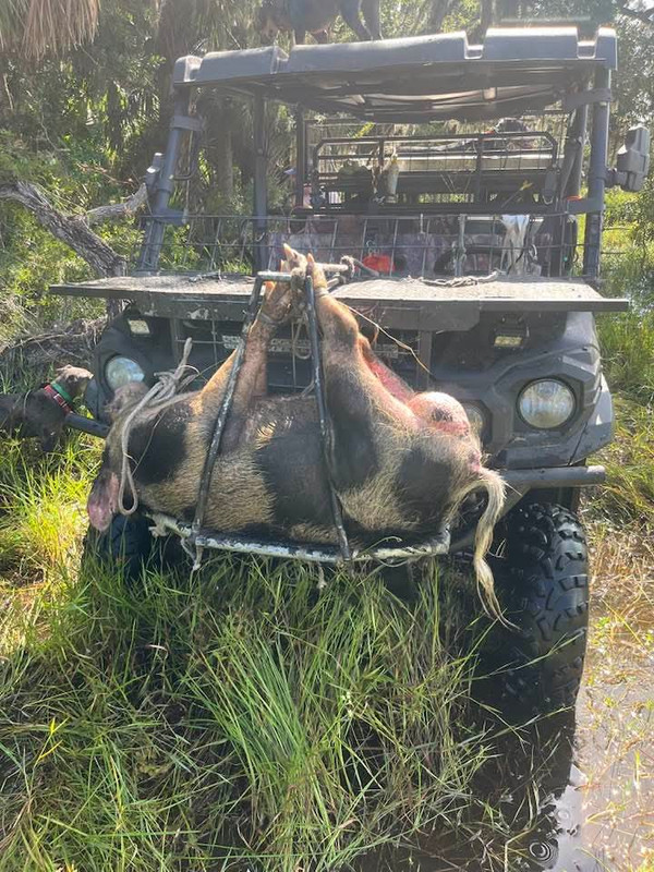 FB_IMG_1757279350331 (1)