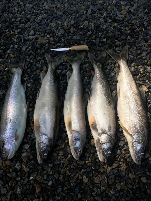 F578431F-E107-4D94-A2EC-DC4847694396