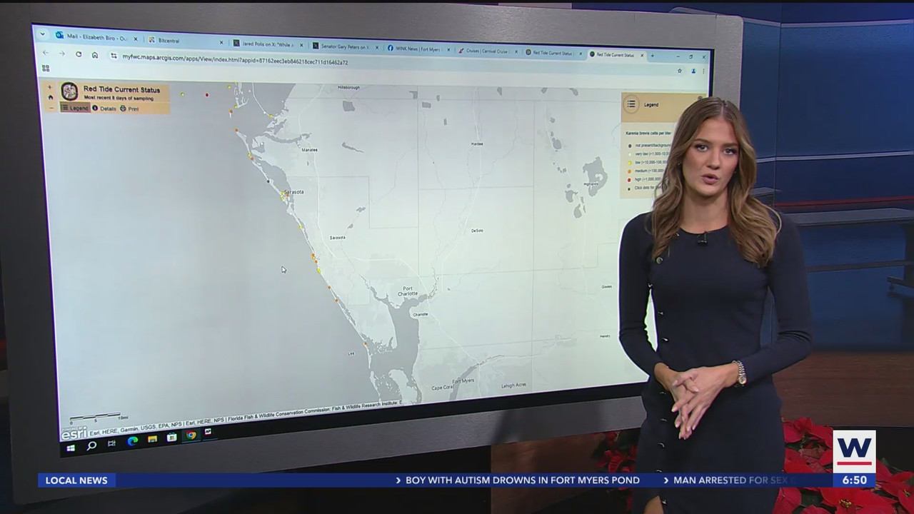 WINK News at 630am_20241203_11301200.ts_snapshot_21.20.855