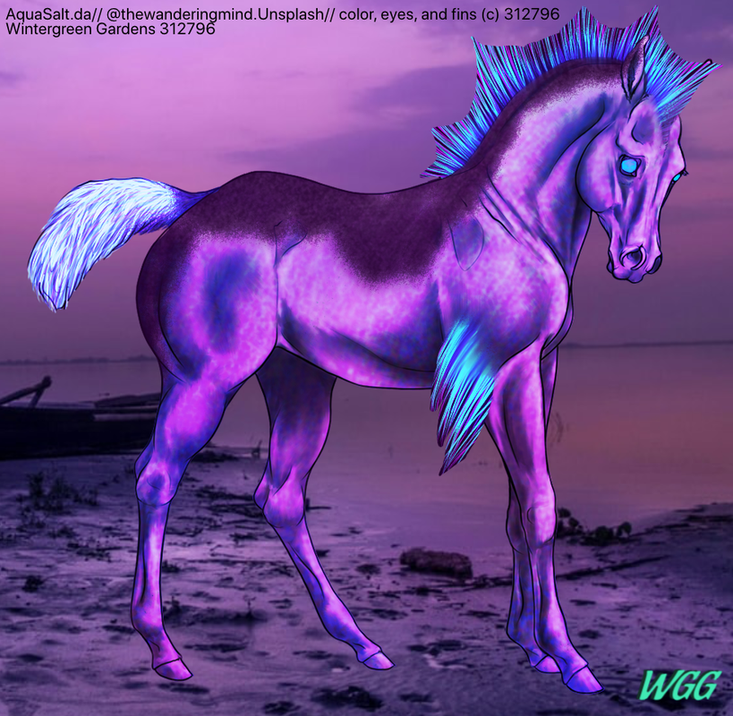 A567-C384-C1-F9-4-F6-A-8240-C4534-EEB61-CA.png