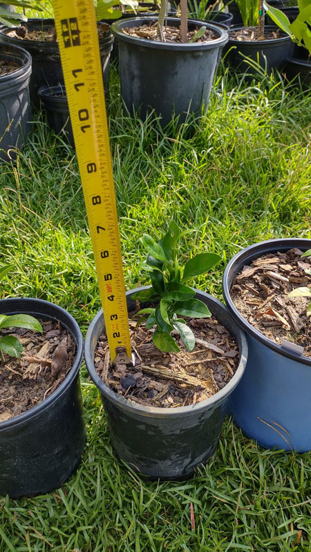 photo_2025-07-23_09-30-07 (5)