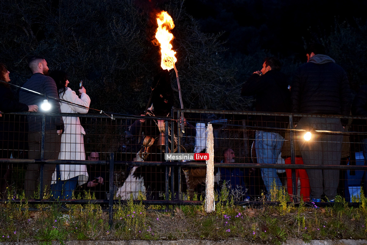 ελαιοχωριDSC_0612