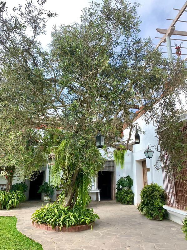 652938B8-16EE-48DA-B3EE-3B40D5A485E7