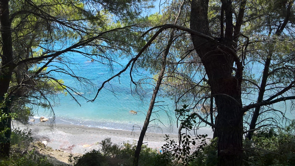 WP_20160705_13_20_23_Pro