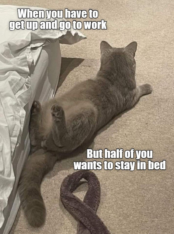 hit-snooze-one-more-time