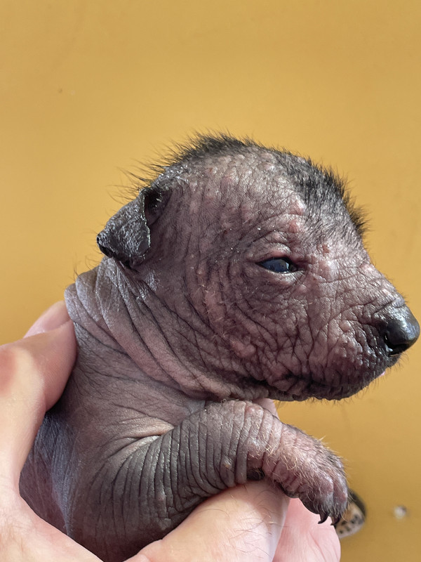 0EE1D465-D3E6-4EB2-98F2-4A0C62BB24C1