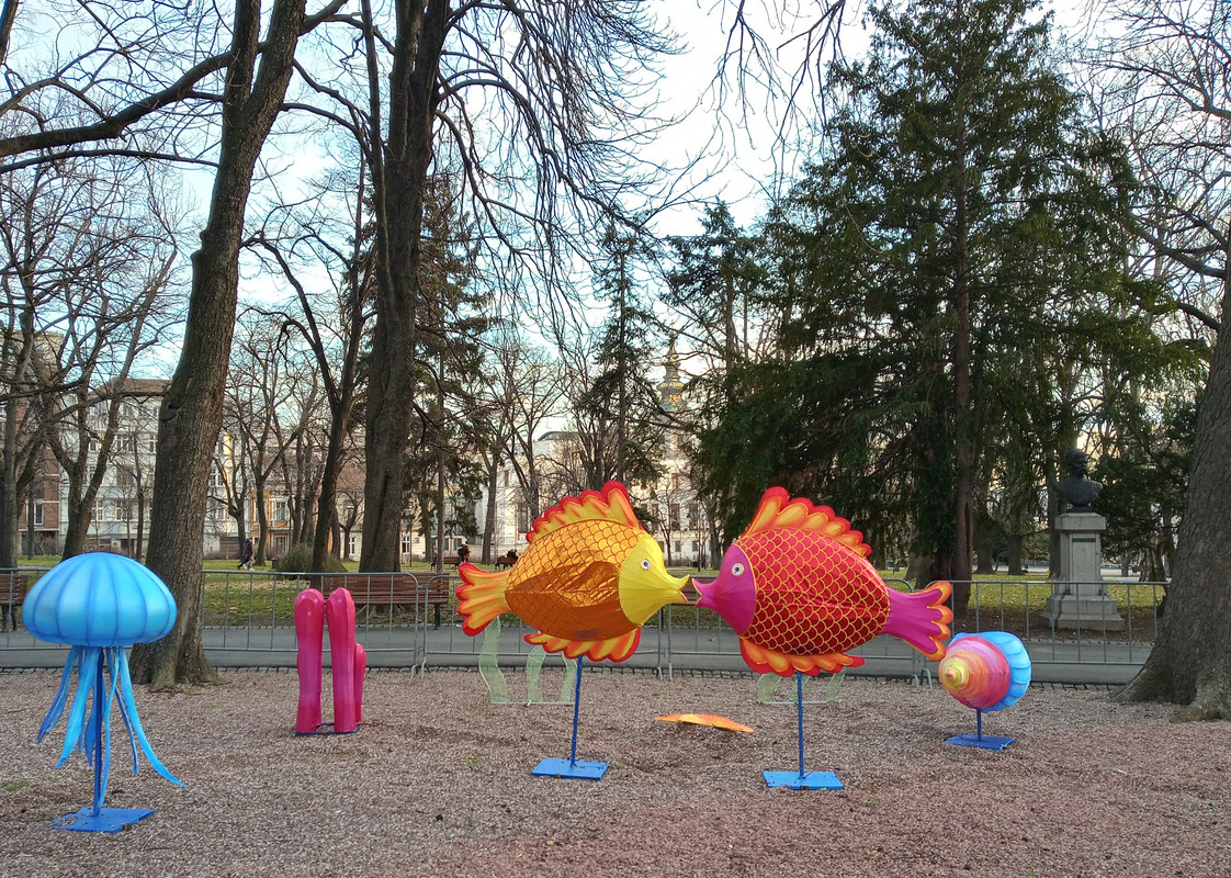 20200131_160928_HDR(1)