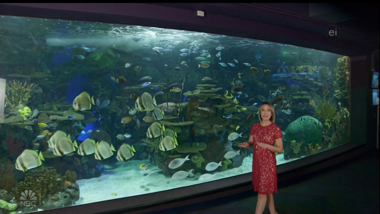 11.07 - 15.00.00 - Earth Odyssey With Dylan Dreyer. The world's smart....ts_snapshot_01.05.07.055