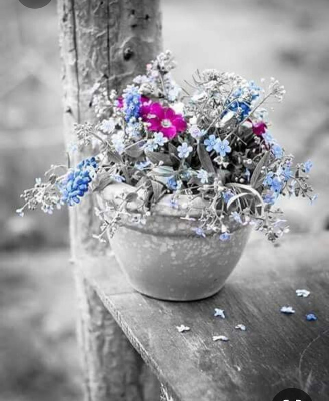 Screenshot_20230409_223309_Pinterest