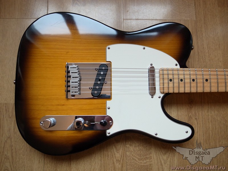 Fender_American_Telecaster_Standart_28-sb_009