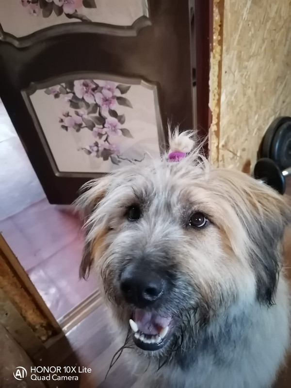 0023632E-55D3-44EB-9894-55853F0E3B69