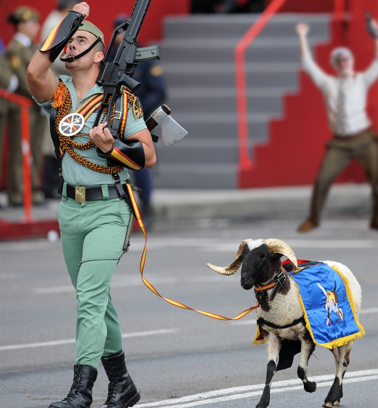 spanish-legion-goat.png