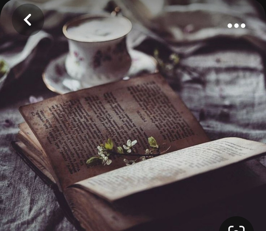 Screenshot_20231015_214113_Pinterest