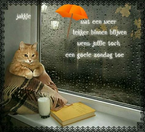 83ae920c15733d9d2bb989577509aeff