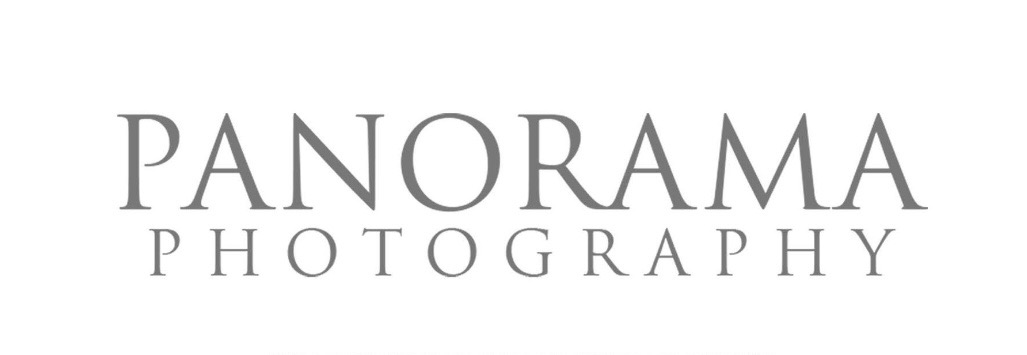 Panorama Studio Logo