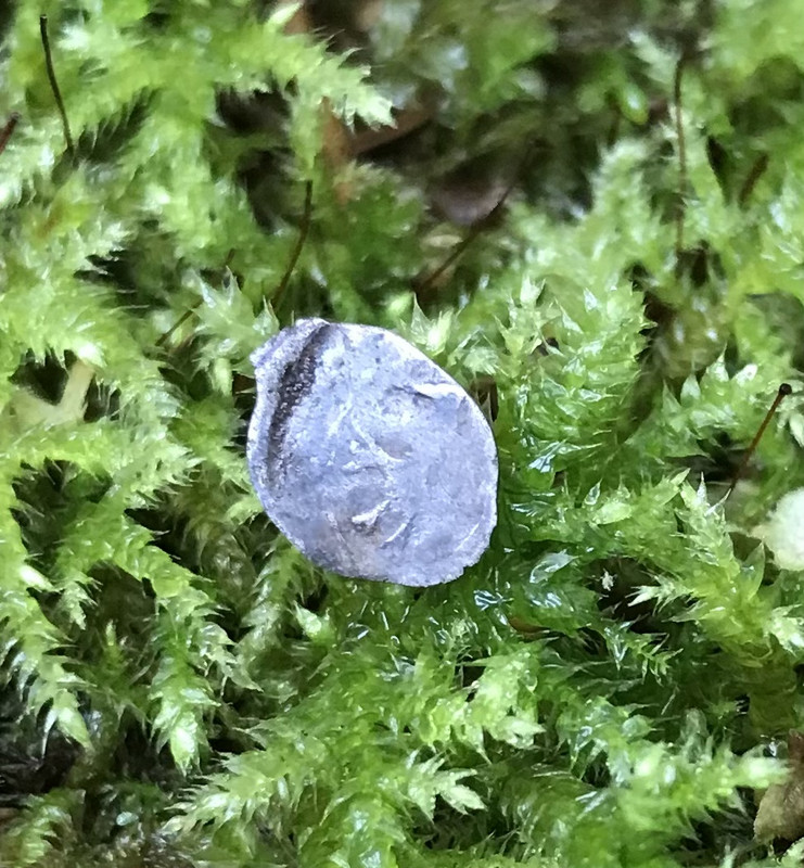 D2CF535A-1237-4EAC-9666-64009624B57A