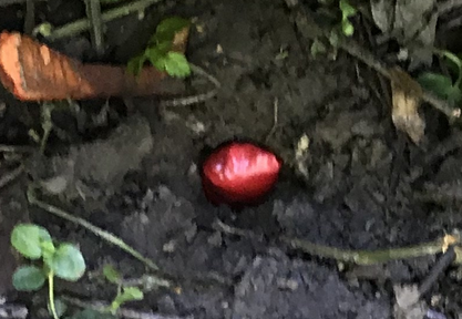 Снимок экрана от 2026 02 08 10 54 29