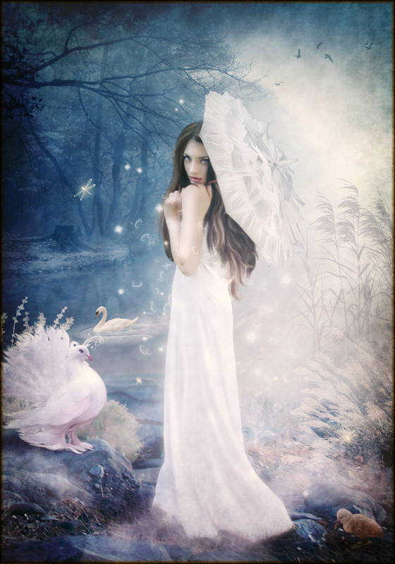 beauty-1361