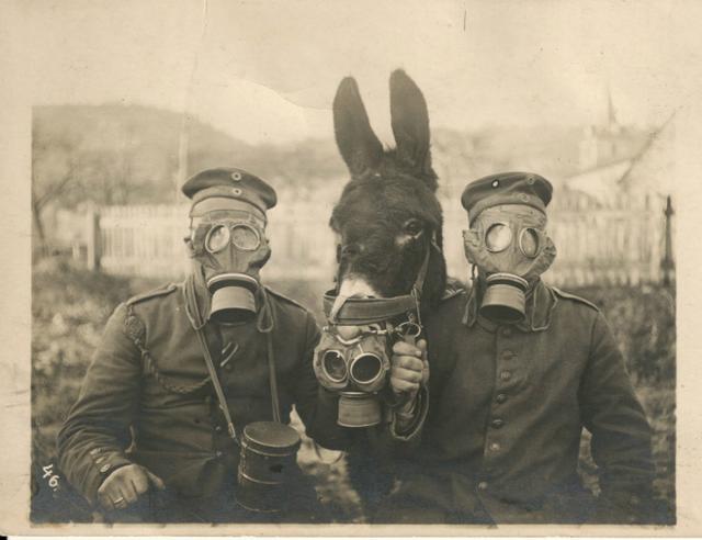Foto tentara dan kuda gunakan masker anti gas