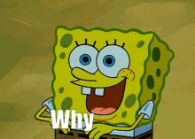 why-not-spongebob.gif
