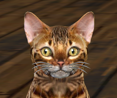 Look at the life in those eyes. <3