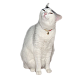 F09-F657-C-D489-47-C4-A900-79-D70-D95-A05-E.png