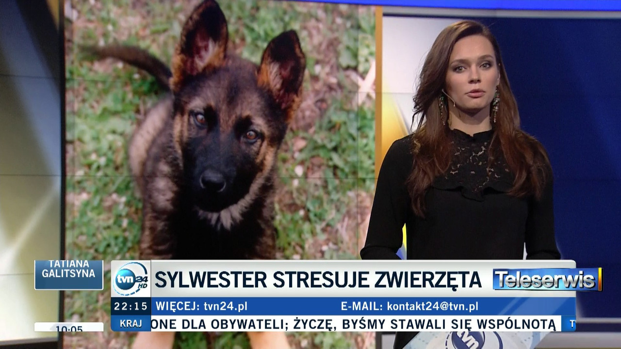 TVN_24_HD-31122015-2152.mts (0_03_00) 002171