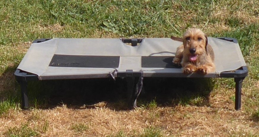 [Image: P1030369.jpg]