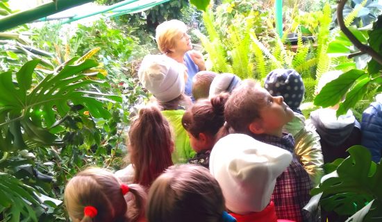 Робота з квітами