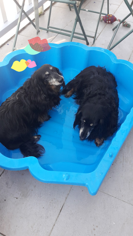 [Image: 20200811-161309.jpg]