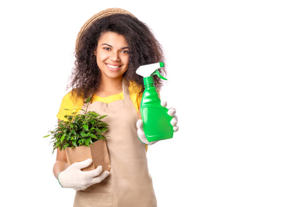 Reliable Lyndhurst Pest Control Professional