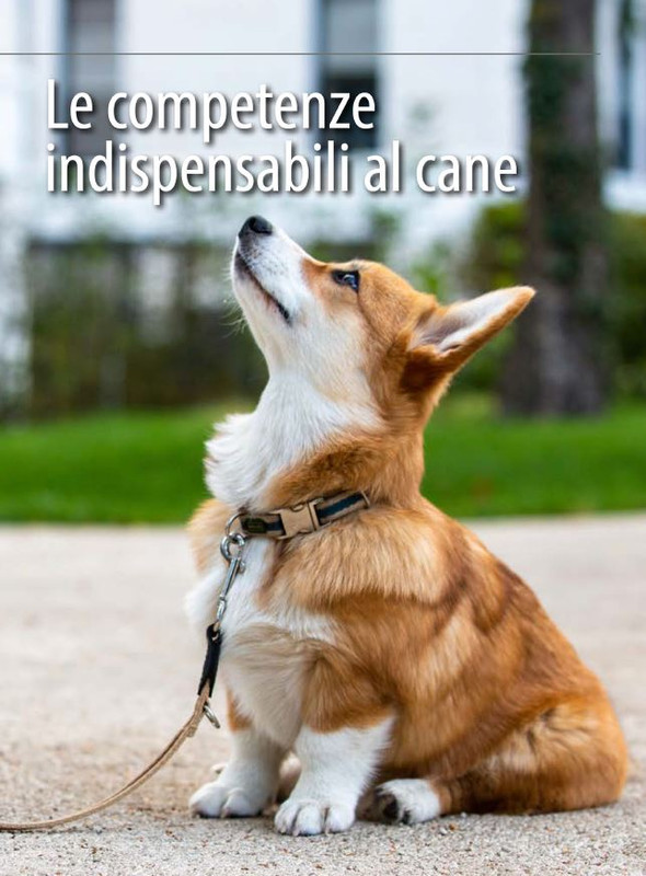 Il M C Mag-Giu 2024 (6)