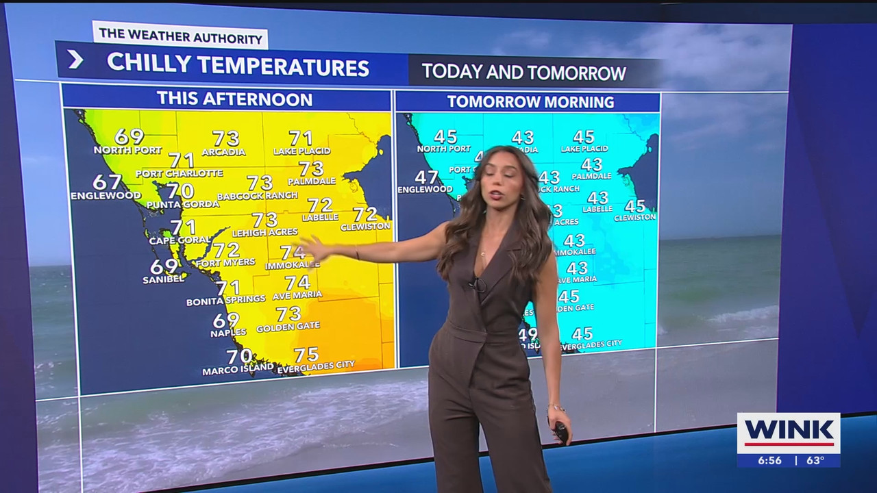 WINK News at 630am_20250306_11301200.ts_snapshot_27.52.035