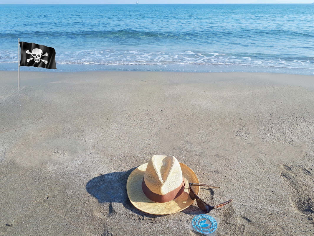 τα πούρα του καλοκαιριού 2024