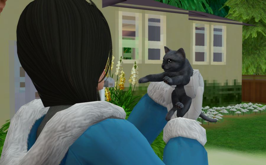 Sims2-EP9-RPC-2021-05-15-15-01-26-34