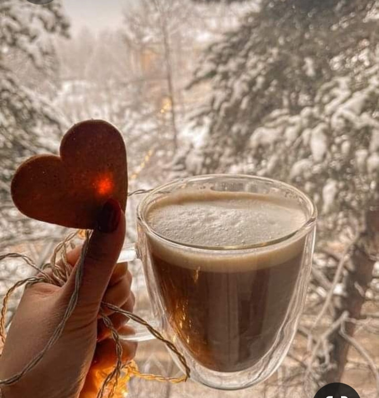 Screenshot_20230327_234127_Pinterest