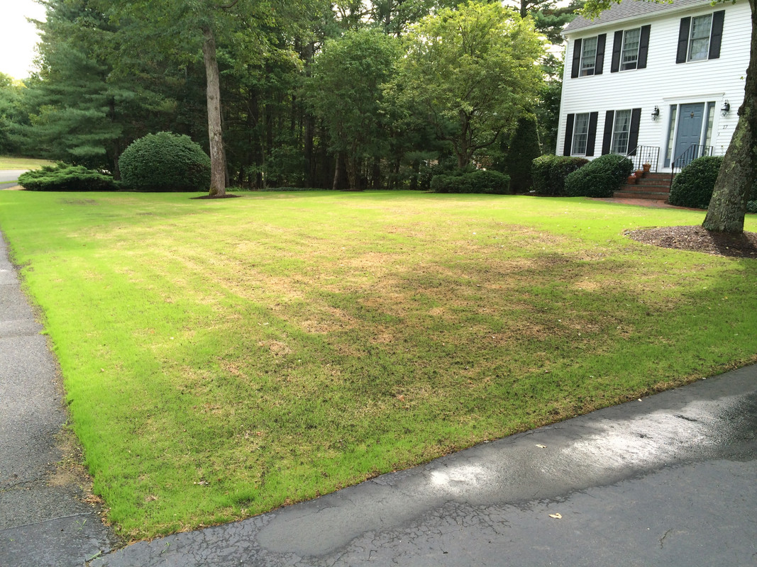 September 3 2016 (4)