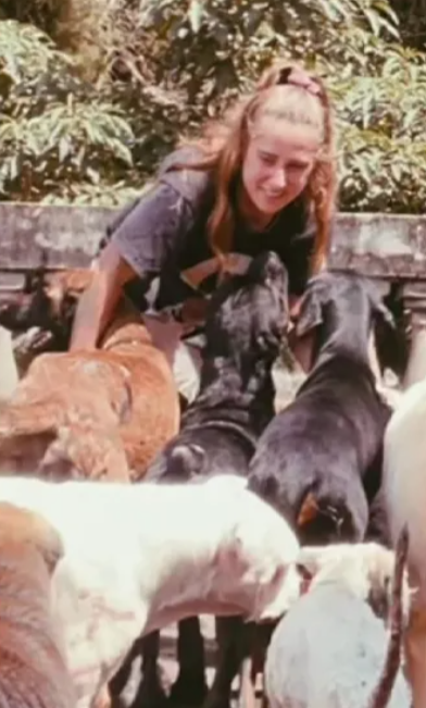 Voluntária e animais